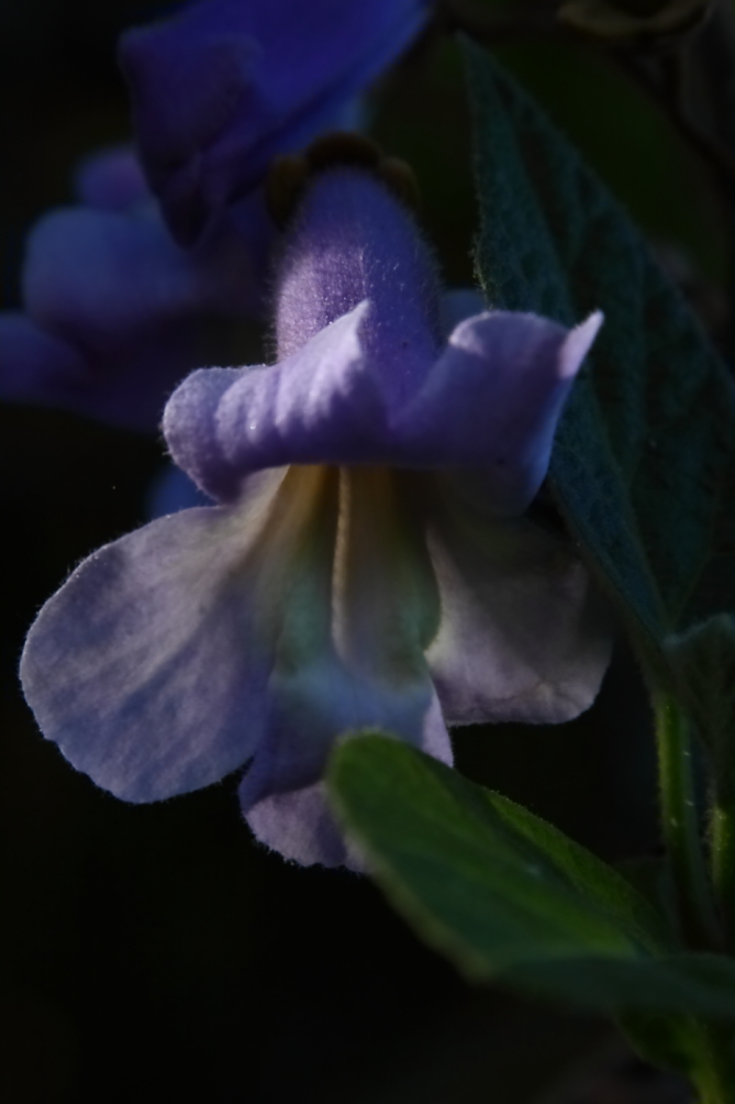2012 05 19 3571